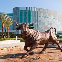 North Tampa 10 sober living | Real Recovery Education Opportunities at the University of South Florida Marshall Student Center